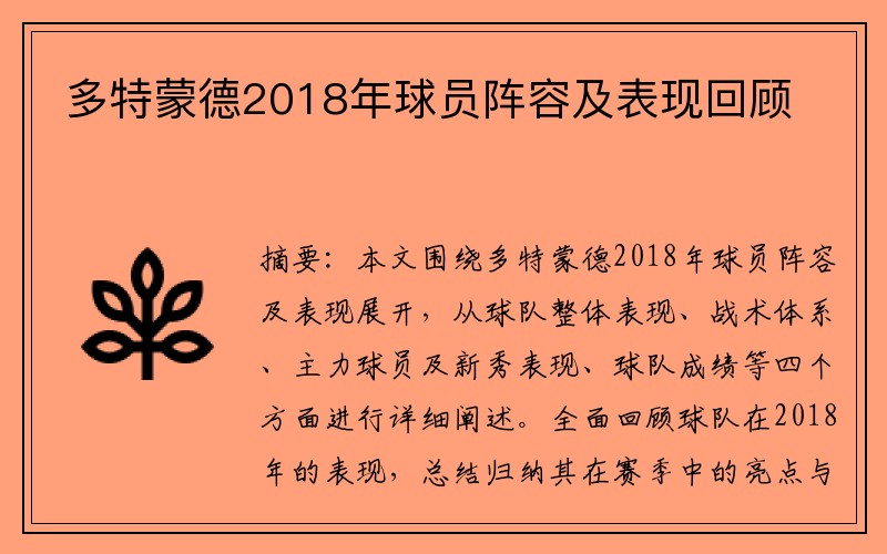 多特蒙德2018年球员阵容及表现回顾